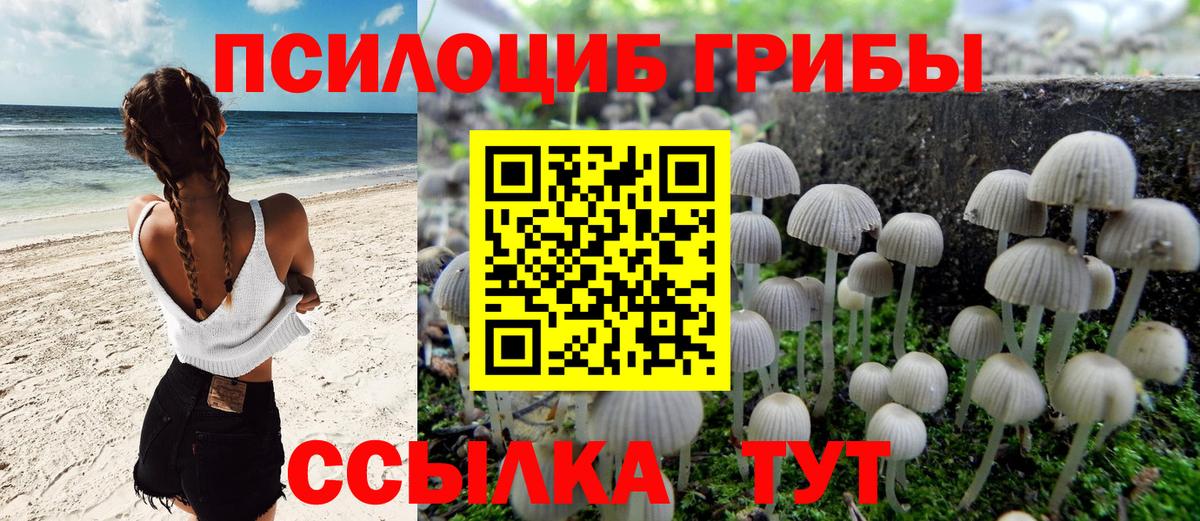 Псилоцибиновые грибы мицелий Краснокаменск